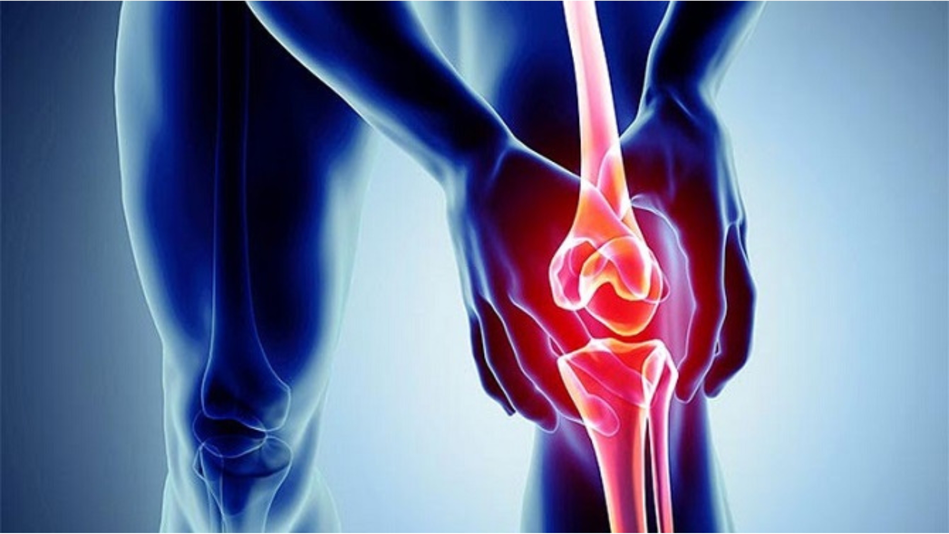 Bị Đau Nhức, Khô Khớp Gối Nên Bổ Sung Gì Để Hỗ Trợ Cải Thiện ?