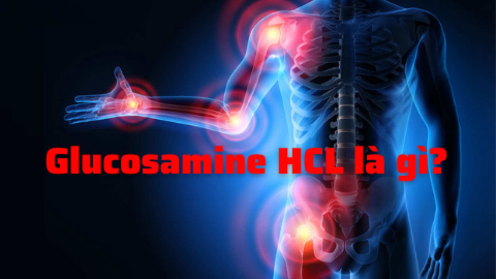 So sánh Glucosamine Sulfate và Glucosamine Hydrochloride HCl: Loại nào hấp thu tốt hơn
