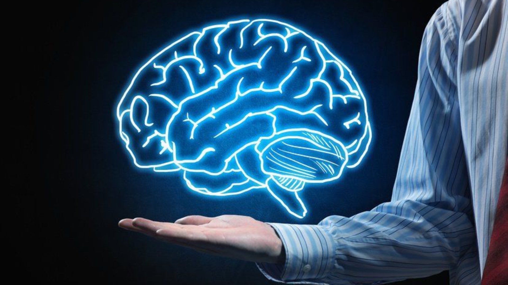Kém Tập Trung, Làm Việc Trí Óc Căng Thẳng Nên Bổ Sung Gì?