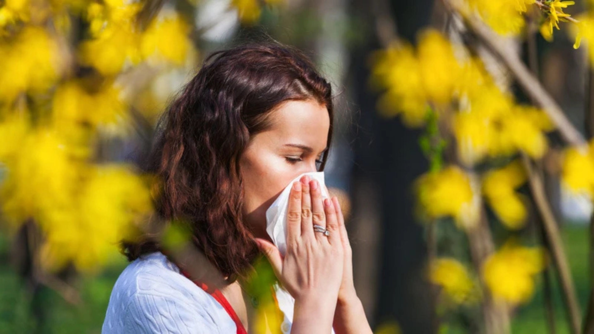 Những Ai Không Nên Uống Sữa Ong Chúa? 8 Đối Tượng Cần Tuyệt Đối Tránh Xa