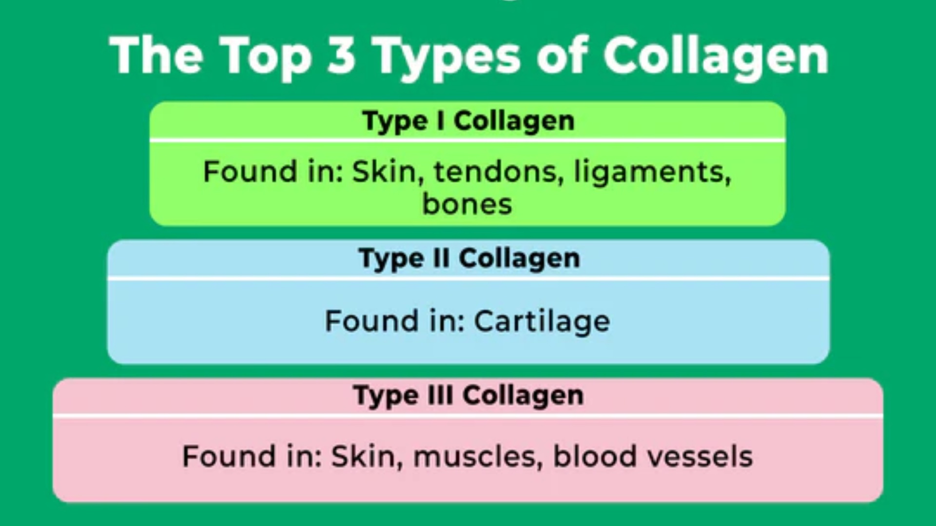 So Sánh Collagen Type 1, 2 Và 3: Loại Nào Chuyên Sâu Nhất Cho Sụn Khớp?