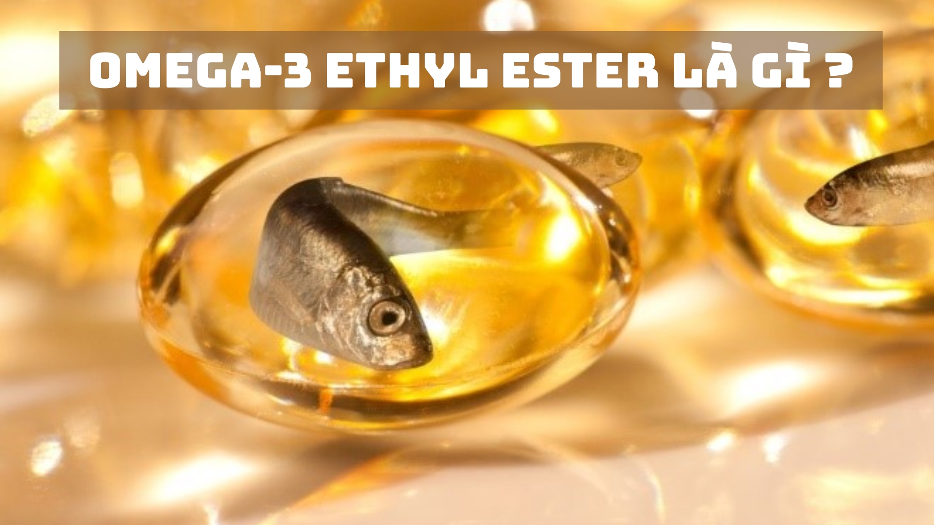 So Sánh Các Dạng Omega-3 (Triglyceride vs Ethyl Ester): Loại Nào Hấp Thu Tốt Hơn?