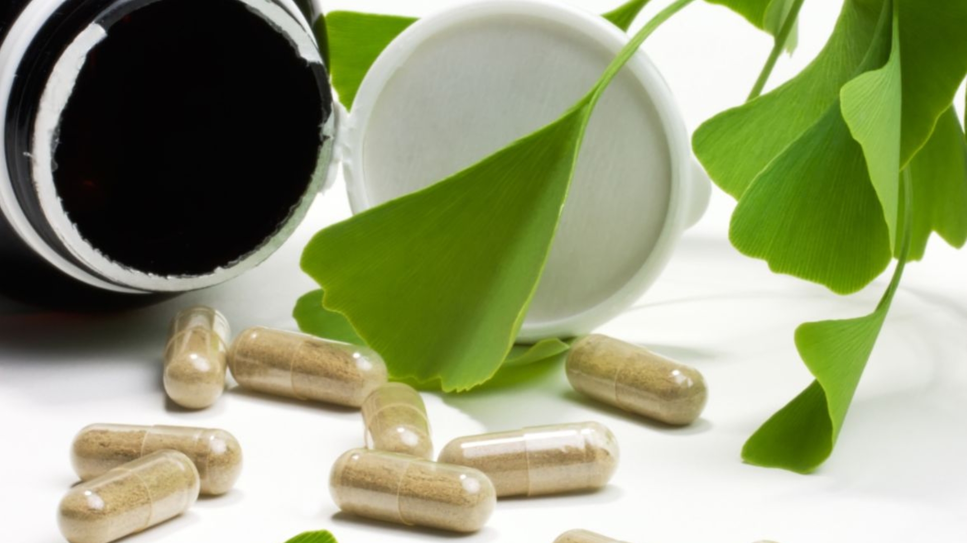 Uống Ginkgo Biloba Lúc Nào Tốt Nhất? Lưu Ý Liều Lượng Và Tác Dụng Phụ Cần Biết