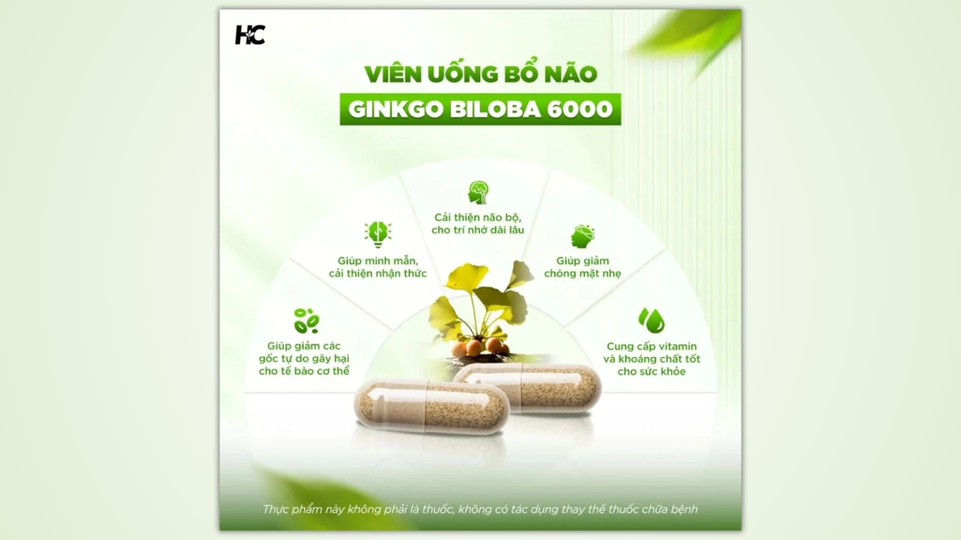 Viên Uống Bổ Não Healthy Care Ginkgo Biloba 6000mg - Hỗ Trợ Tuần Hoàn Máu Não, Tăng Tập Trung
