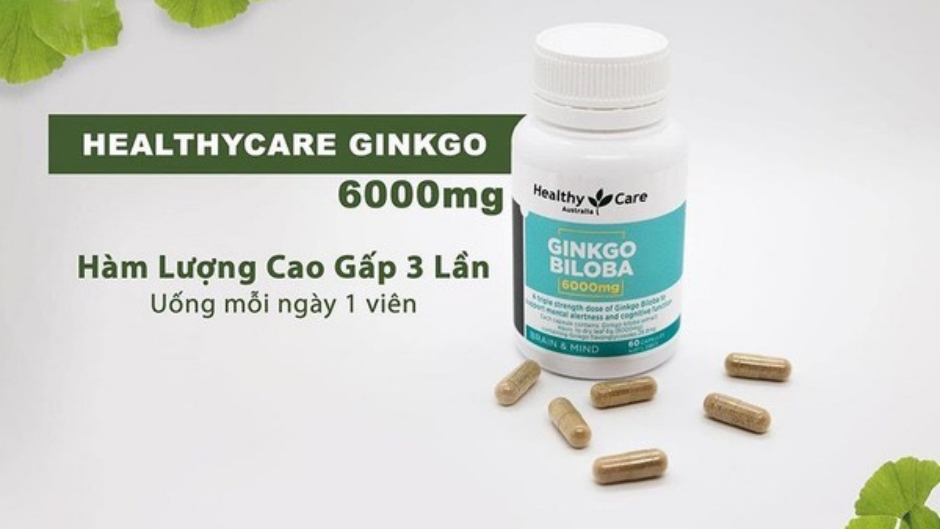 Viên Uống Bổ Não Healthy Care Ginkgo Biloba 6000mg - Hỗ Trợ Tuần Hoàn Máu Não, Tăng Tập Trung