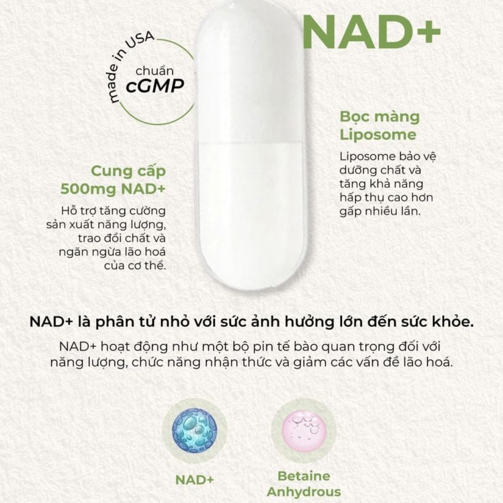 Codeage Viên Uống Liposomal NAD+ Eternal Hỗ Trợ Tăng Cường Năng Lượng 60 Viên