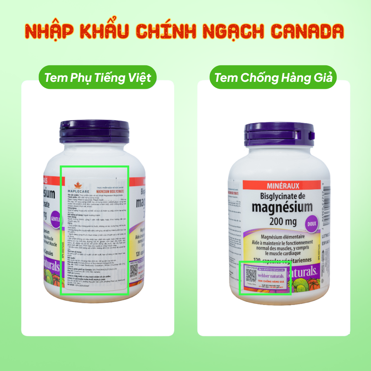 Webber Naturals Viên Uống Magie Magnesium Bisglycinate 200mg - Nhập Khẩu Chính Ngạch Canada