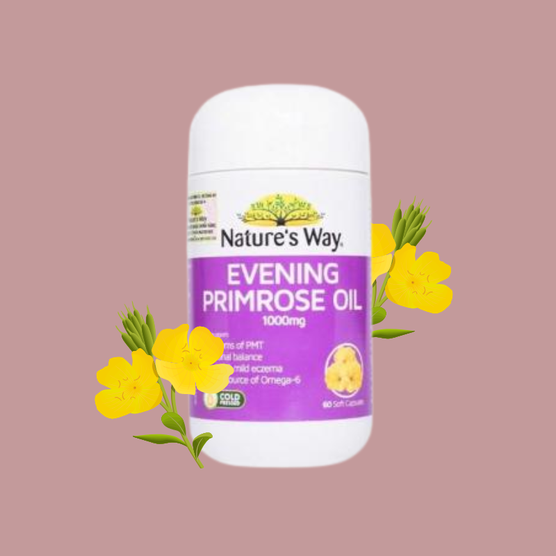 Nature's Way Viên Uống Hoa Anh Thảo Evening Primrose Oil 1000mg 60 Viên