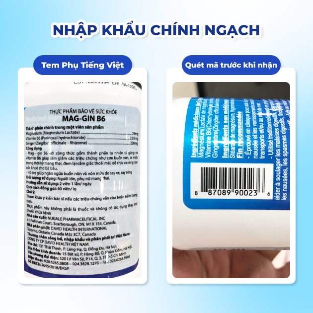 David Health Viên Uống Chống Nôn, Nghén Mag-Gin B6 60 Viên