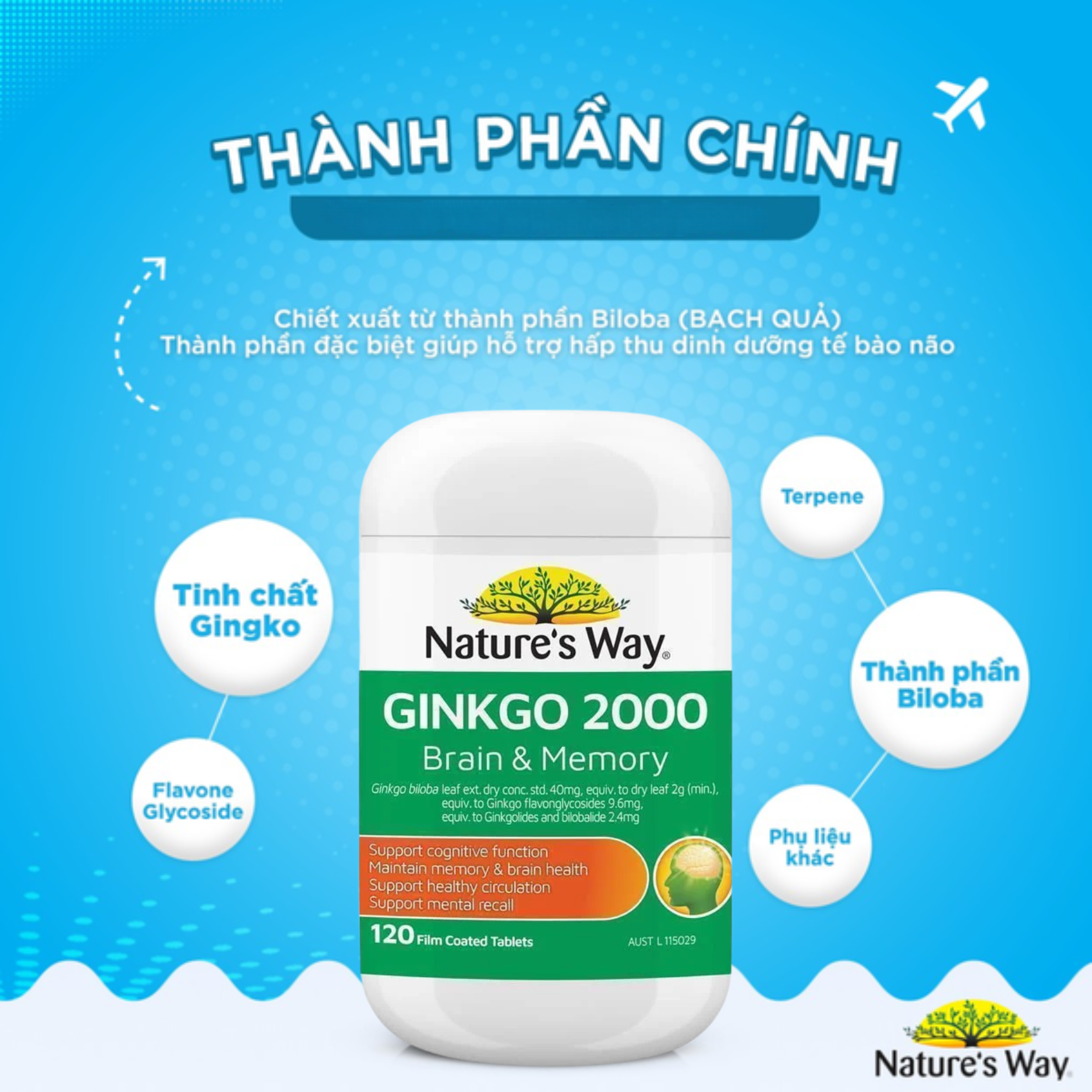 Nature's Way Viên Uống Bổ Não Ginkgo Biloba 2000mg 120 Viên