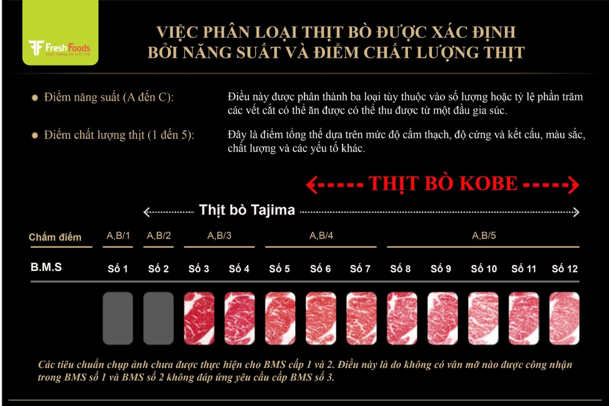 Tiêu Chuẩn Vân Mỡ Trong Thịt Bò Wagyu: Chìa Khóa Cho Hương Vị Tinh Tế