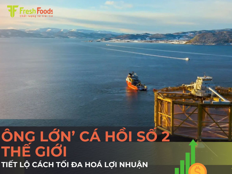 ‘Ông lớn’ cá hồi số 2 thế giới tiết lộ cách tối đa hóa lợi nhuận