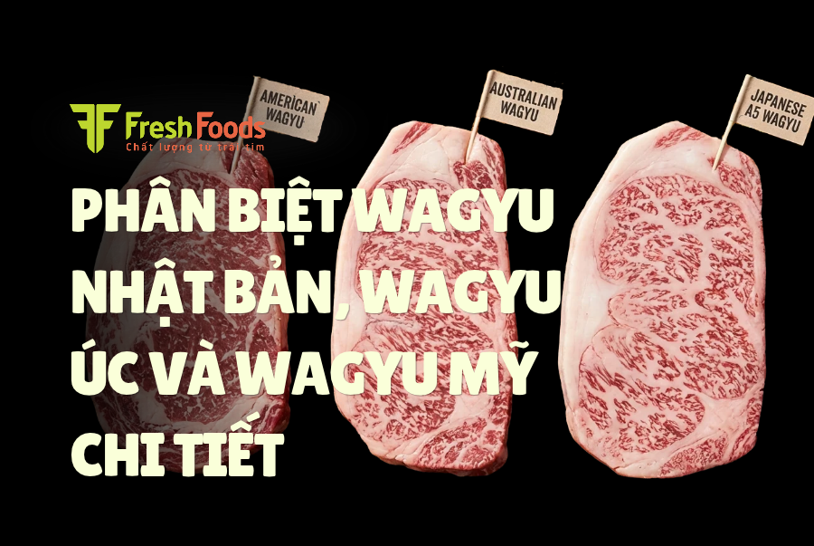 Wagyu Là Gì? Phân Biệt Wagyu Nhật Bản, Wagyu Úc Và Wagyu Mỹ Chi Tiết