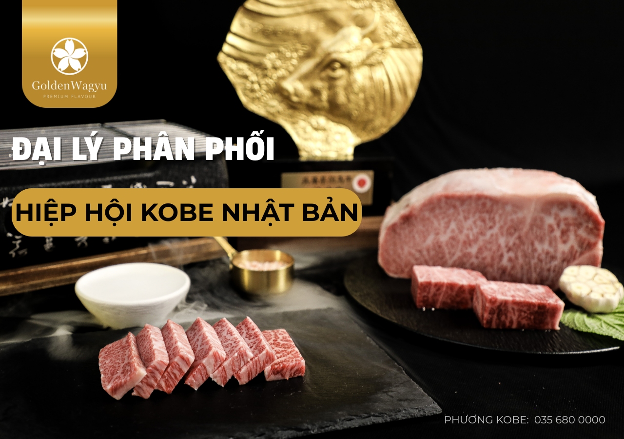 Địa Chỉ Vàng Mua Bò Kobe Chuẩn Nhật Bản Tại Việt Nam