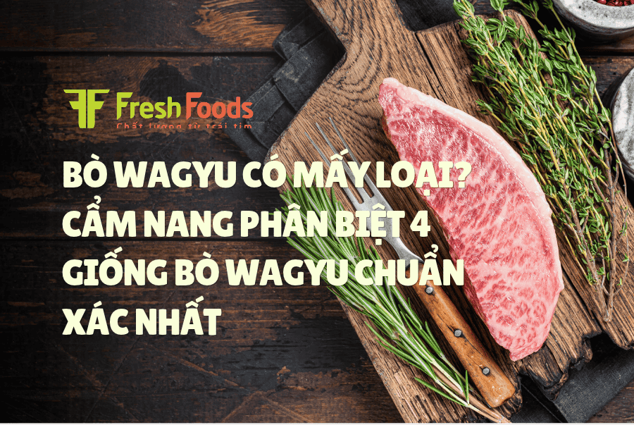 BÒ WAGYU CÓ MẤY LOẠI? CẨM NANG PHÂN BIỆT 4 GIỐNG BÒ WAGYU CHUẨN XÁC NHẤT