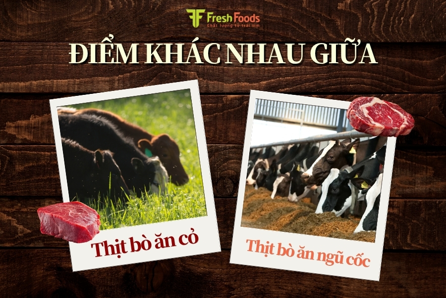 Grain-fed vs Grass-fed: Sự khác biệt từ chế độ chăn nuôi đến hương vị miếng thịt