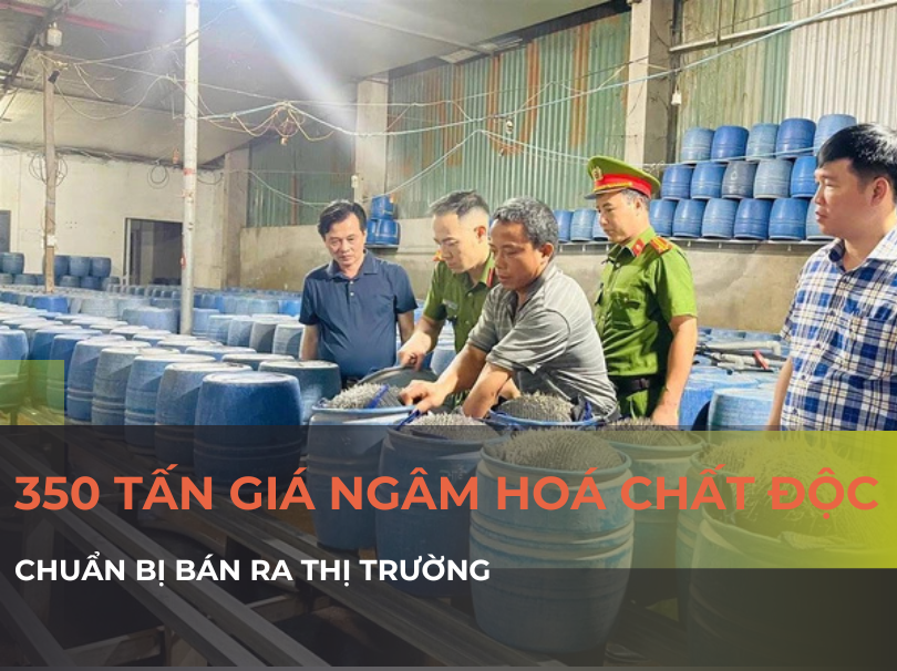 Lào Cai: Triệt phá hai cơ sở sản xuất gần 350 tấn giá đỗ 
