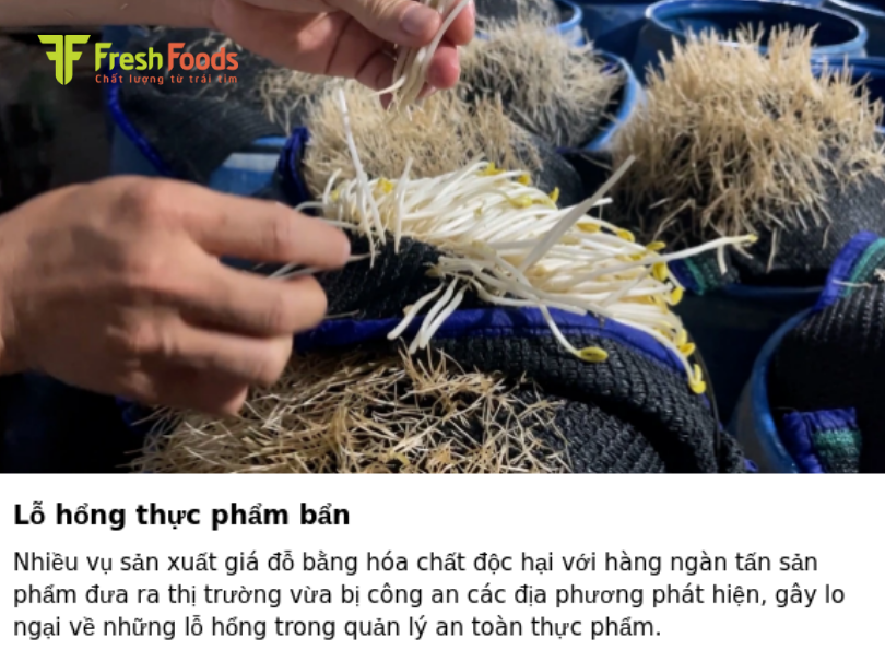 Lỗ hổng thực phẩm bẩn