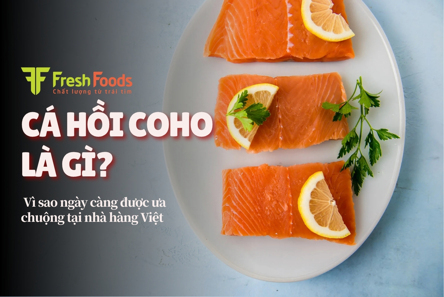 Cá hồi Coho là gì? Vì sao ngày càng được ưa chuộng tại nhà hàng Việt
