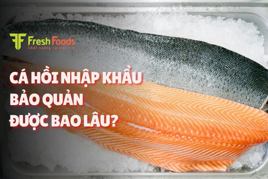 Cá hồi nhập khẩu bảo quản được bao lâu? Bí quyết giữ trọn độ tươi cho bếp nhà hàng
