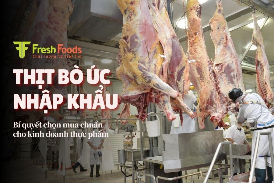 Thịt bò Úc nhập khẩu: Nguồn gốc, phân loại và bí quyết chọn mua chuẩn cho nhà hàng