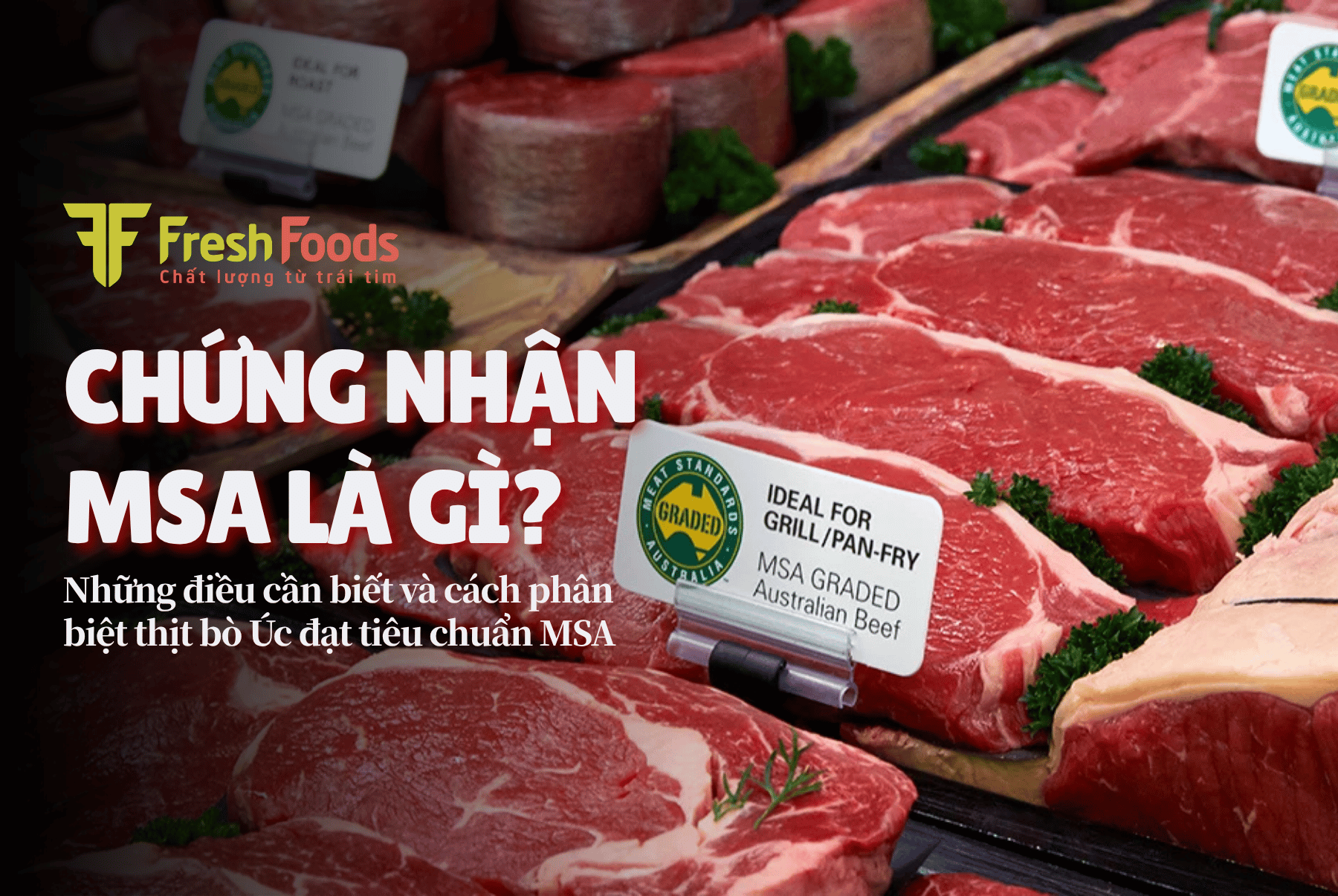 Những điều cần biết về chứng nhận MSA và cách phân biệt thịt bò Úc đạt tiêu chuẩn MSA