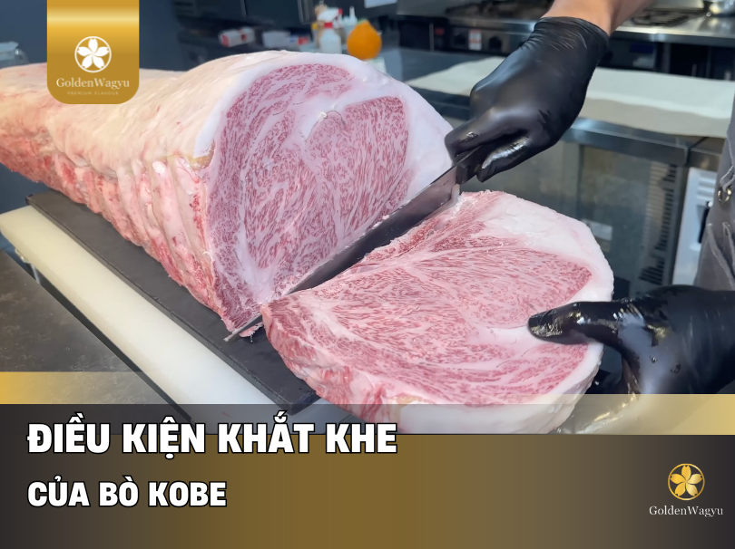 Bí Mật Đằng Sau Thịt Bò Kobe: Tiêu Chuẩn Nào Tạo Nên Cực Phẩm Bò Nhật Đắt Nhất Thế Giới?