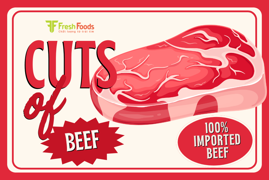 TOP 20 PHẦN CẮT THỊT BÒ - HIỂU ĐÚNG ĐỂ CHỌN CHUẨN NHƯ CHUYÊN GIA