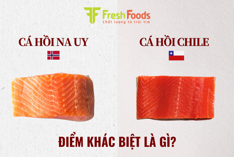 Cá hồi Nauy và cá hồi Chile khác nhau thế nào? Nên chọn loại nào?