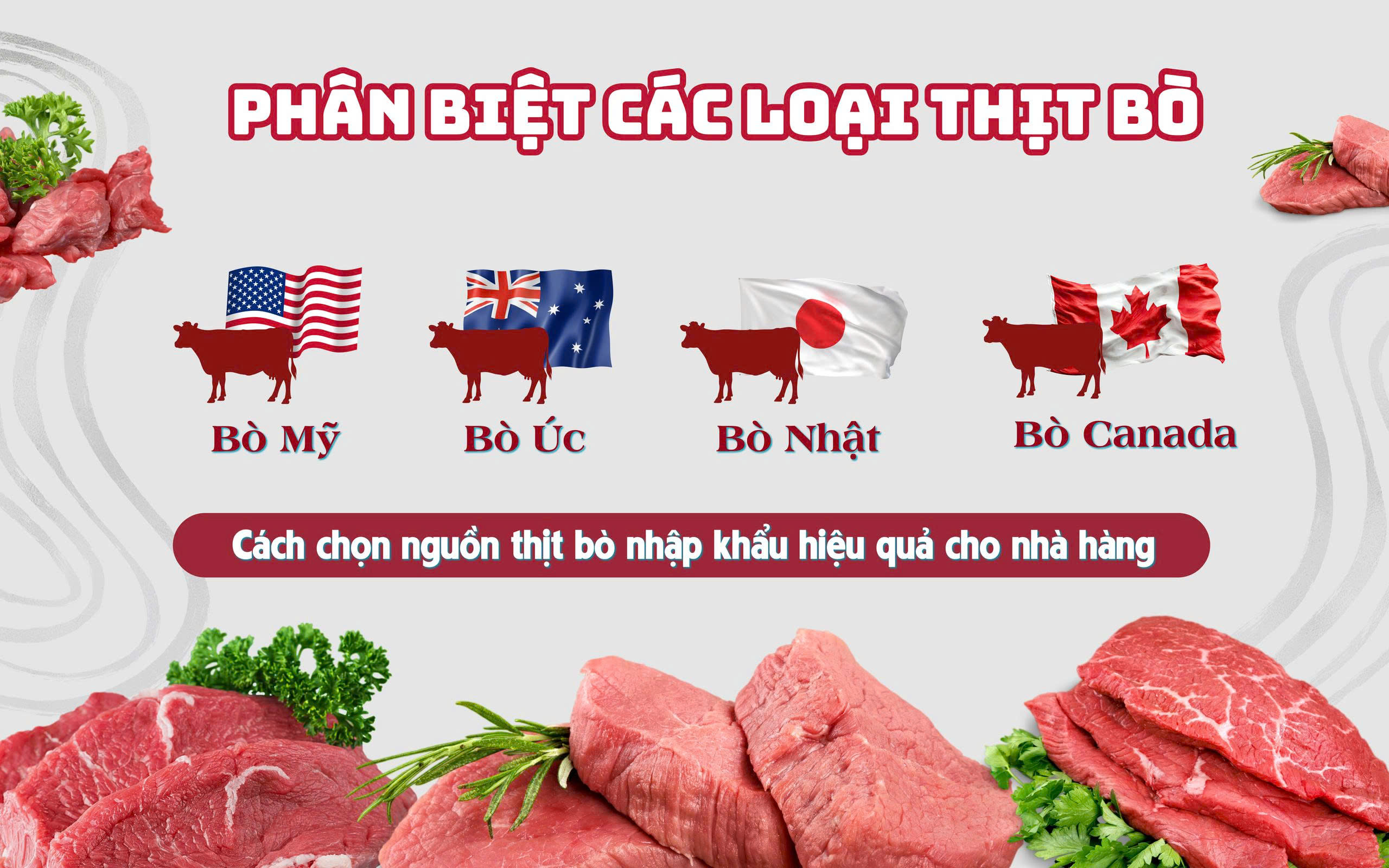 Phân biệt thịt bò Mỹ, bò Úc, bò Nhật, bò Canada – Cách chọn nguồn thịt bò nhập khẩu hiệu quả cho nhà hàng