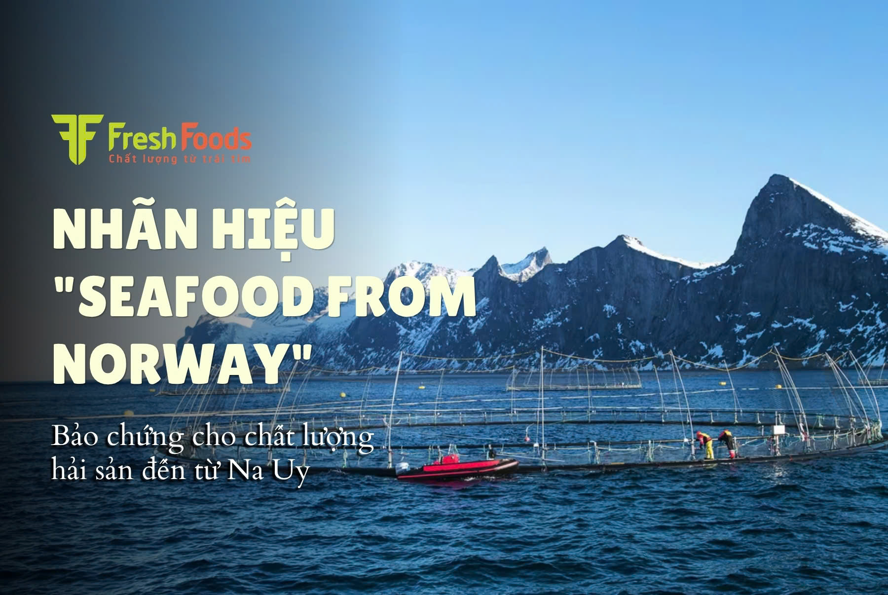 Nhãn hiệu 
