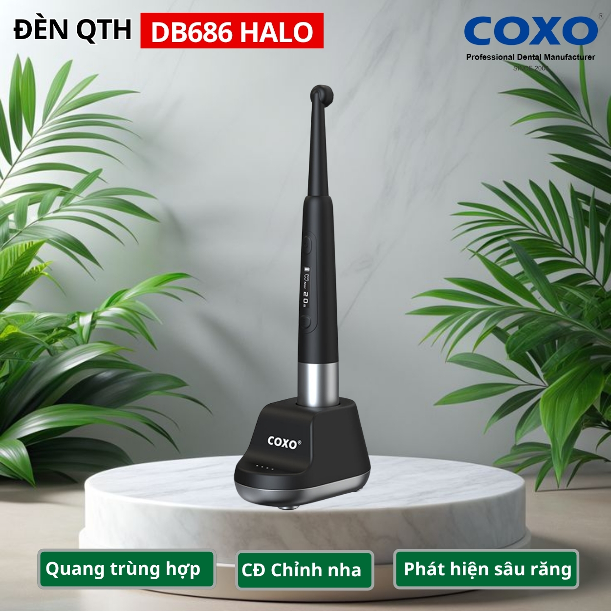 Đèn trám quang trùng hợp COXO DB686 HALO