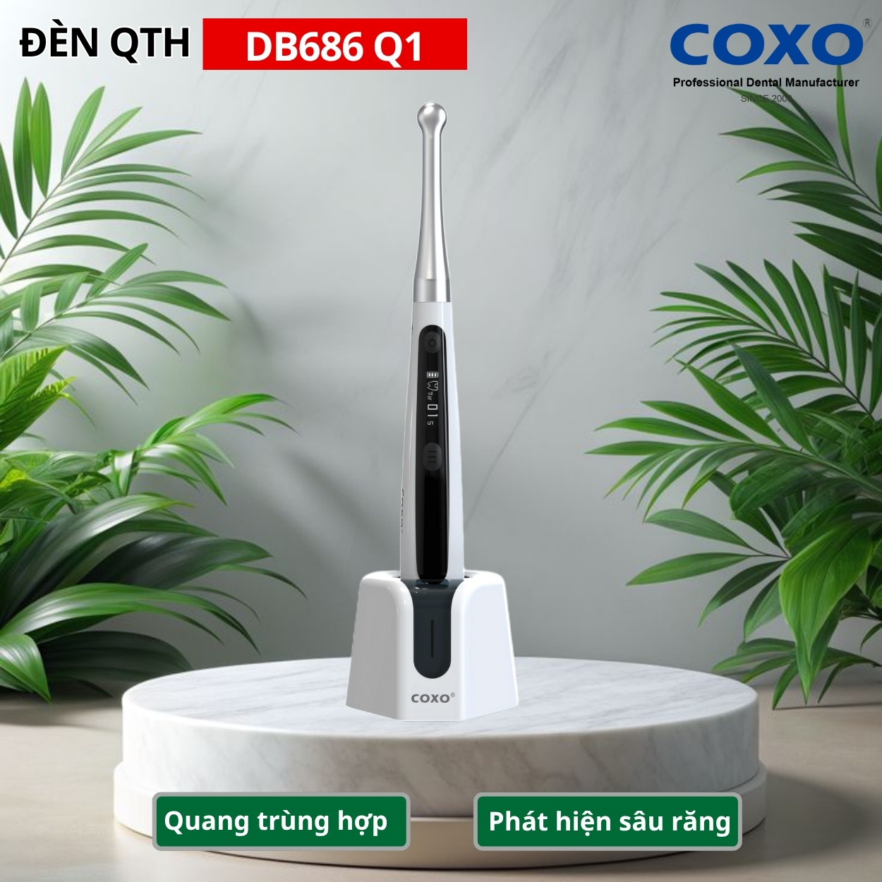 Đèn quang trùng hợp COXO DB686 Q1