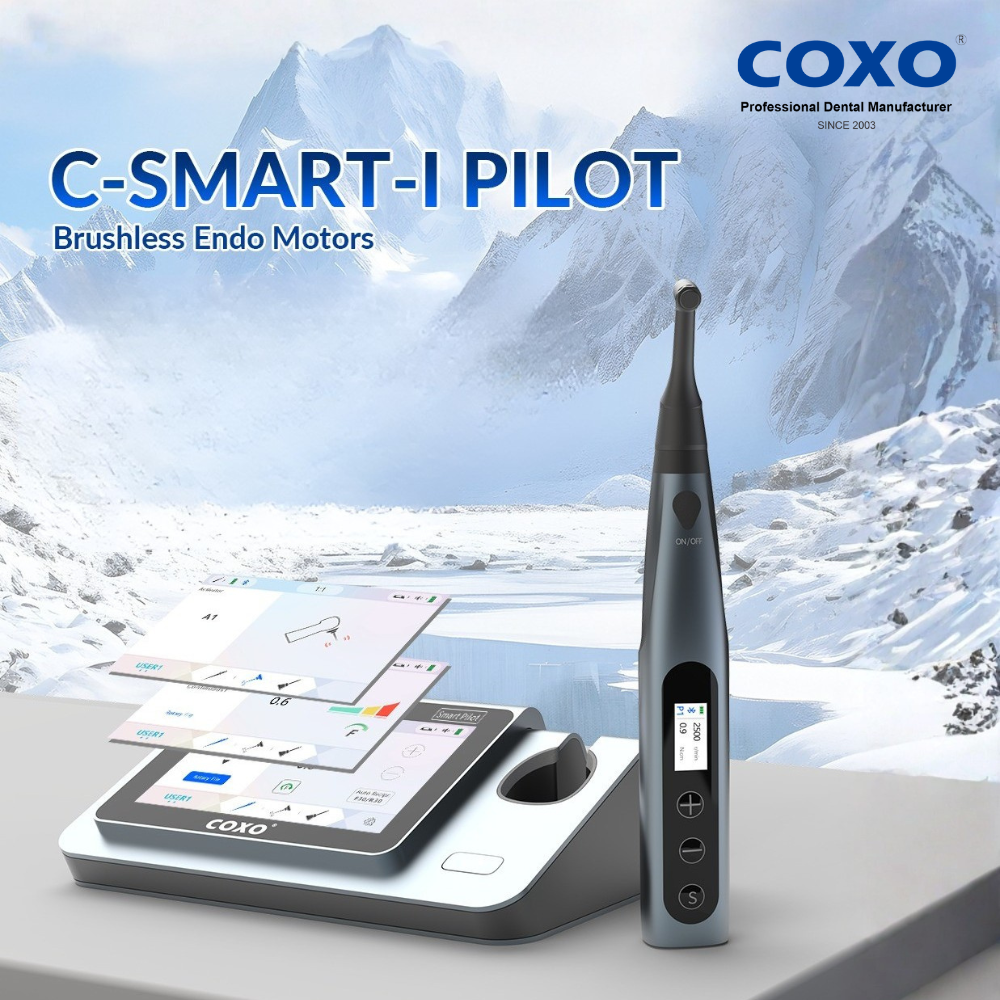 Máy nội nha COXO tích hợp định vị chóp C-Smart Pilot