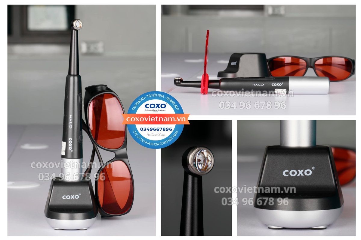 Đèn quang trùng hợp COXO DB686 Q1