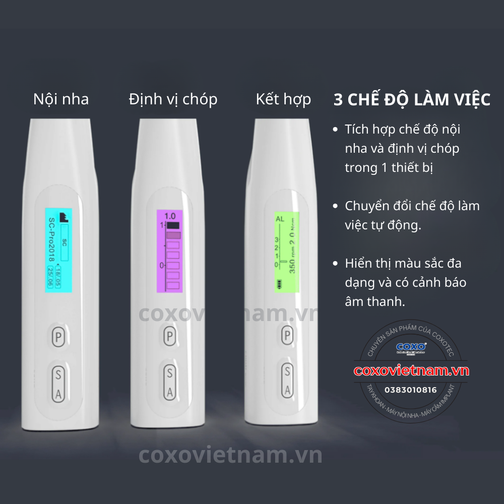 Máy nội nha COXO tích hợp ĐVC C-Smart Mini AP