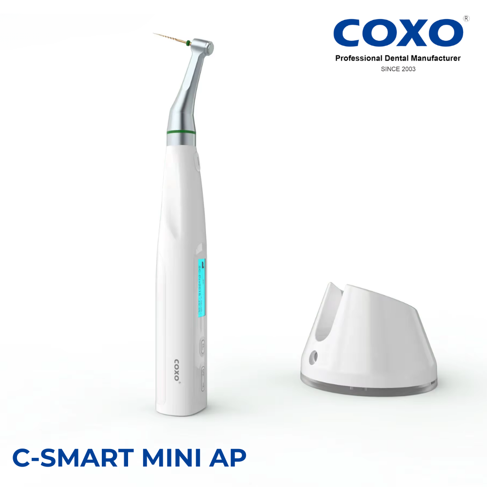 Máy nội nha COXO tích hợp ĐVC C-Smart Mini AP