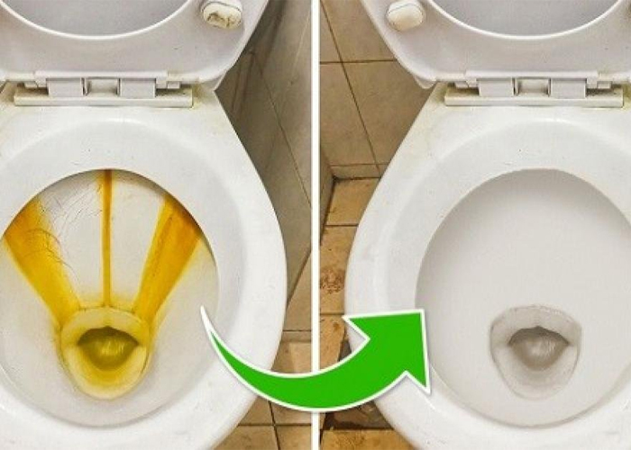 7 Cách làm sạch bồn cầu siêu đơn giản bạn nên thử ngay