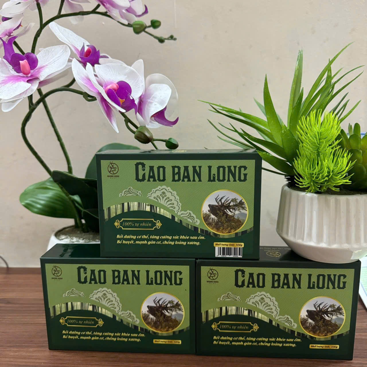 CAO BAN LONG CỦA NHUNG HƯƠU VIỆT