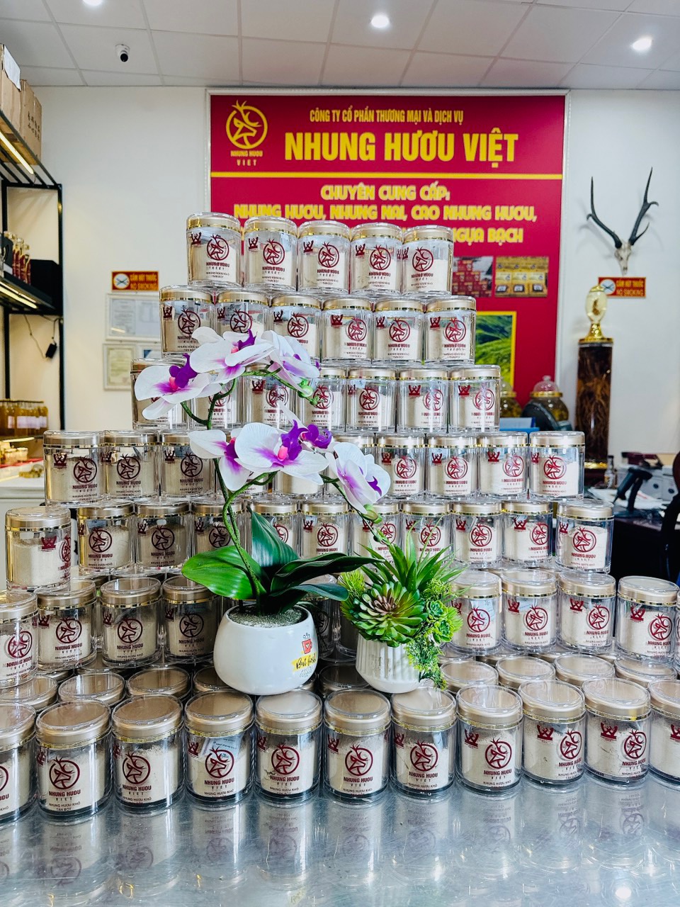 SẢN PHẨM NHUNG HƯƠU TÁN BỘT CỦA NHUNG HƯƠU VIỆT