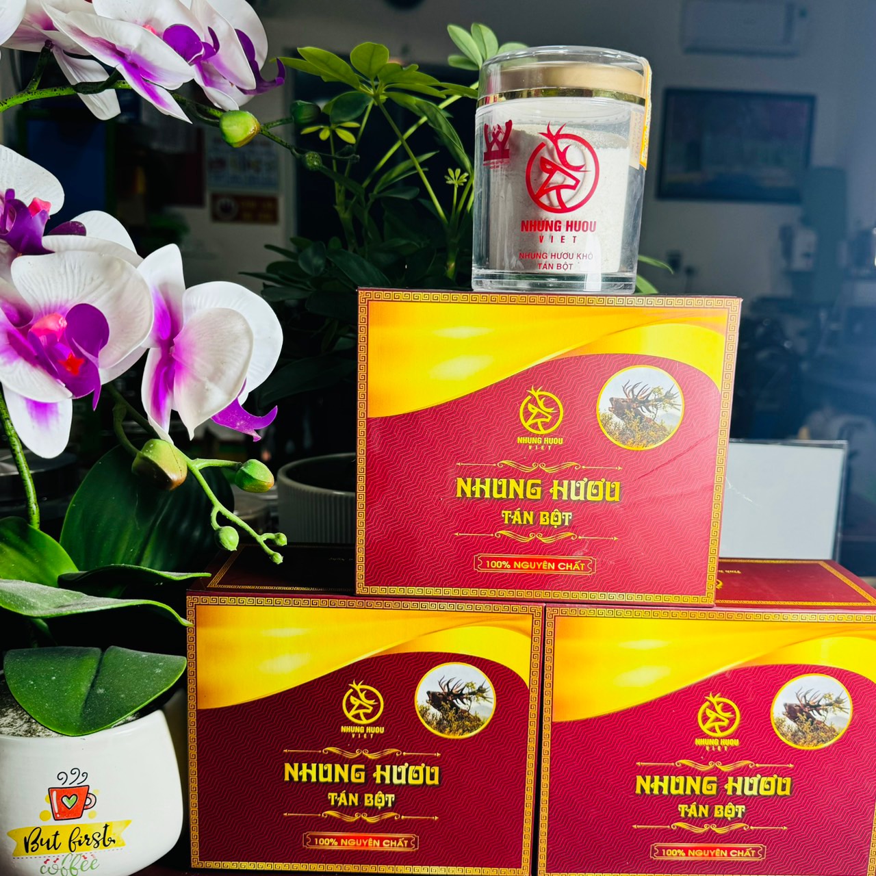 SẢN PHẨM NHUNG HƯƠU TÁN BỘT CỦA NHUNG HƯƠU VIỆT