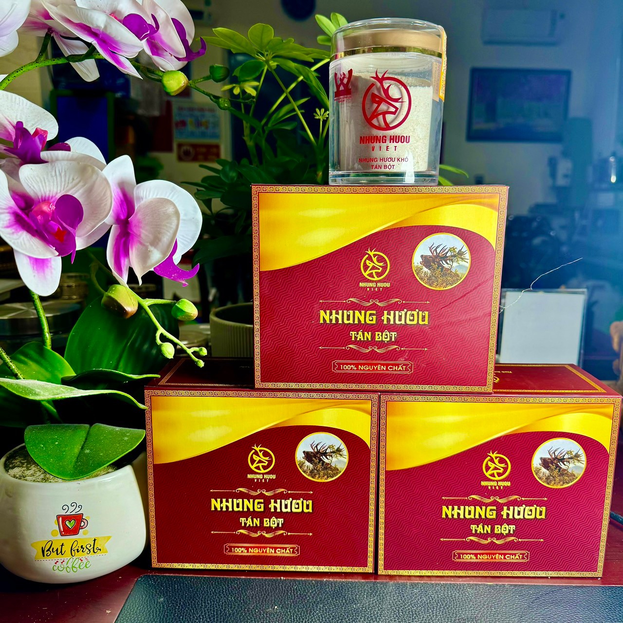 SẢN PHẨM NHUNG HƯƠU TÁN BỘT CỦA NHUNG HƯƠU VIỆT