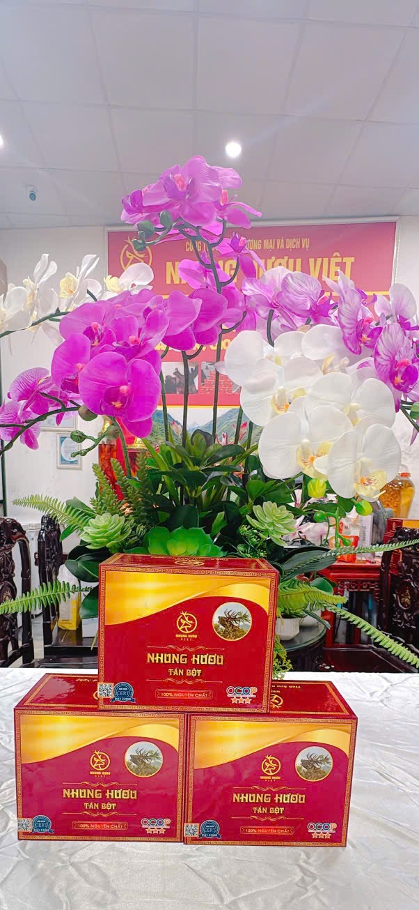 SẢN PHẨM NHUNG HƯƠU TÁN BỘT CỦA NHUNG HƯƠU VIỆT