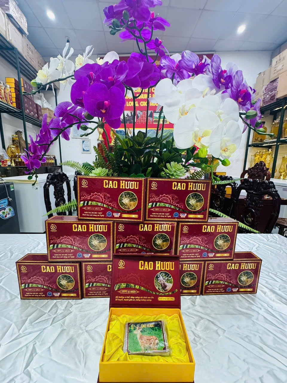 SẢN PHẨM CAO HƯƠU CỦA NHUNG HƯƠU VIỆT