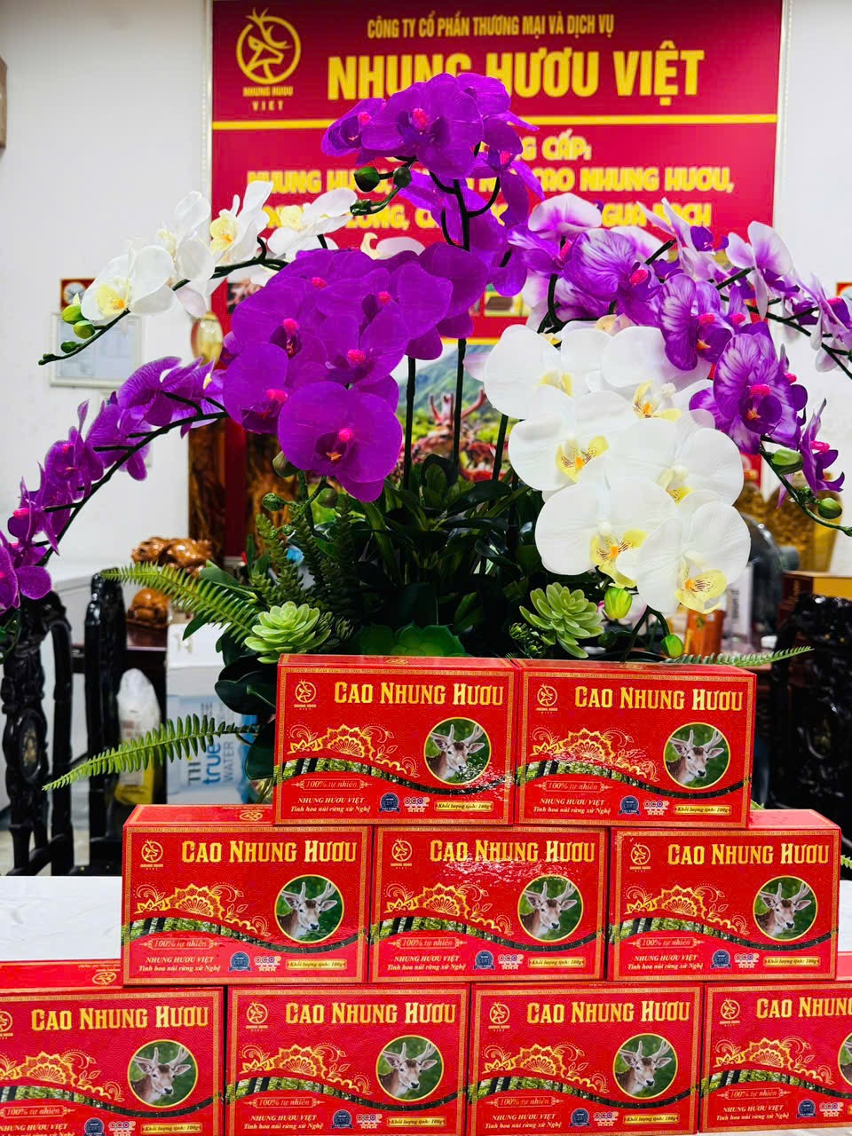 CAO NHUNG HƯƠU