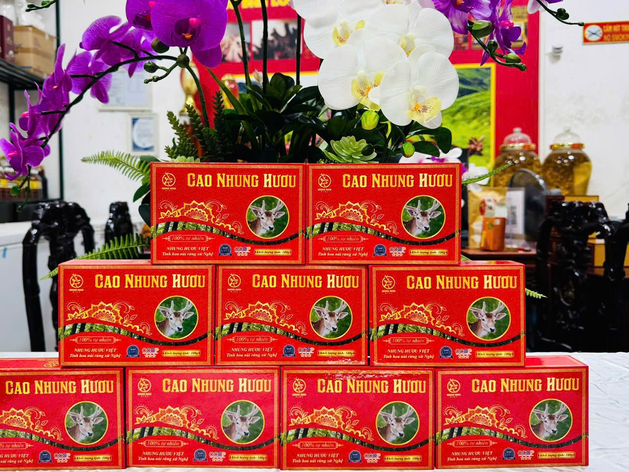 CAO NHUNG HƯƠU