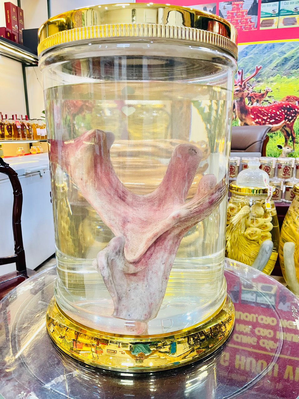 RƯỢU NHUNG HƯƠU