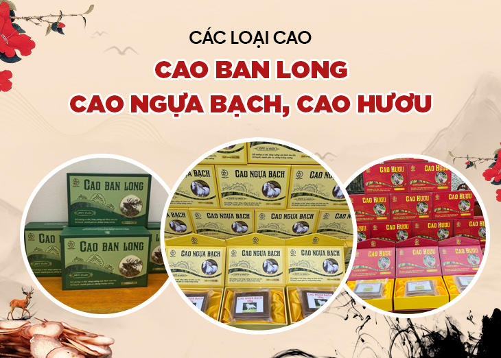 Nhung hươu Việt
