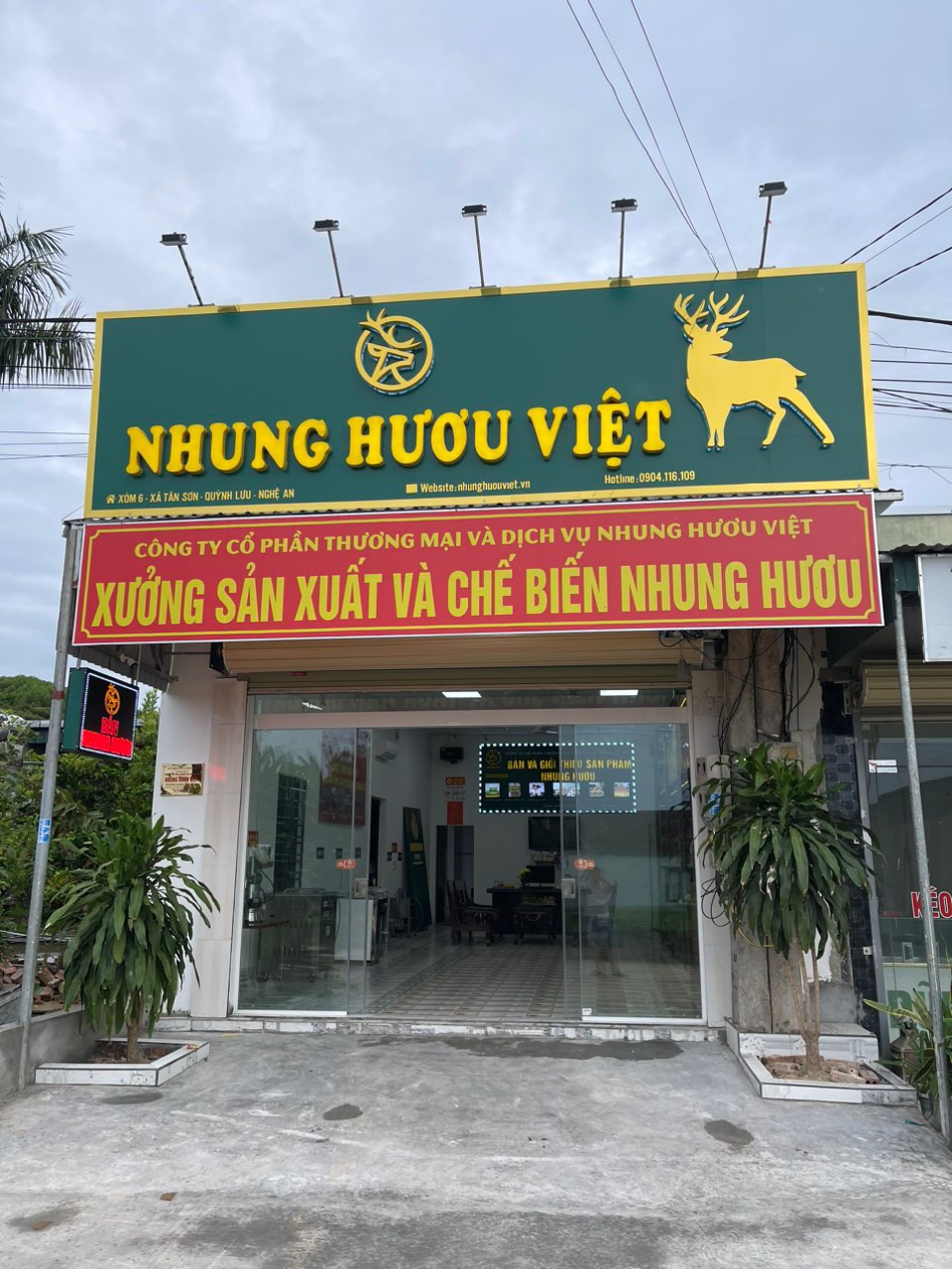 Nhung hươu Việt