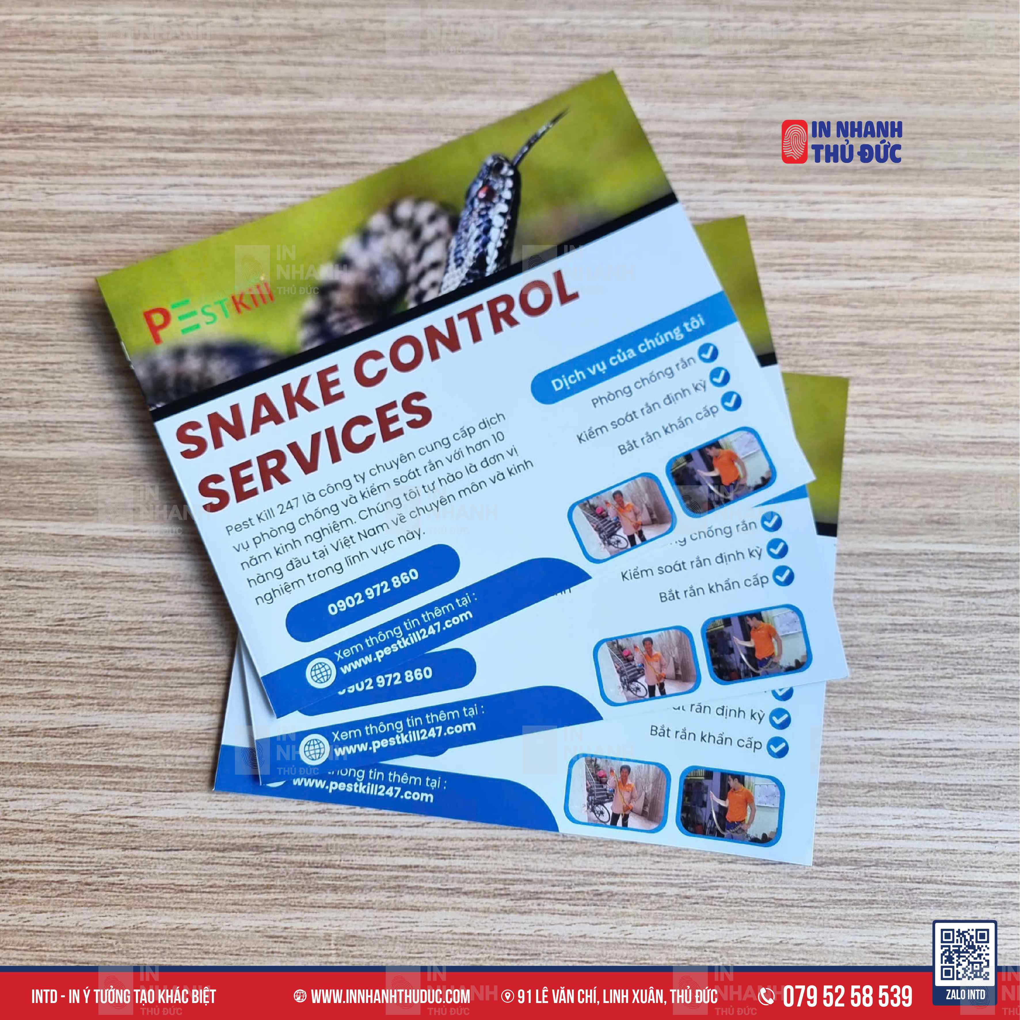 Catalogue Của Bạn Đang 